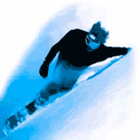 Snowboard pols beschermers in de webshop
